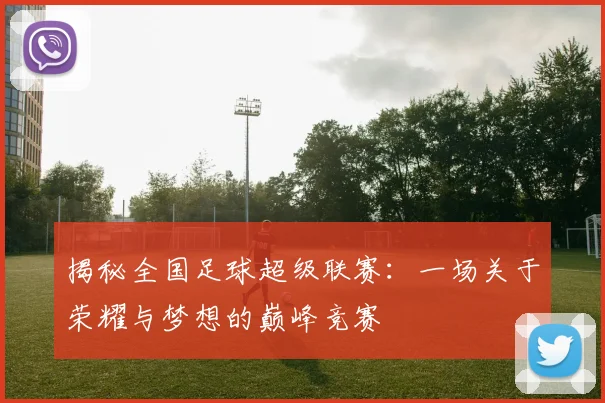 揭秘全国足球超级联赛：一场关于荣耀与梦想的巅峰竞赛